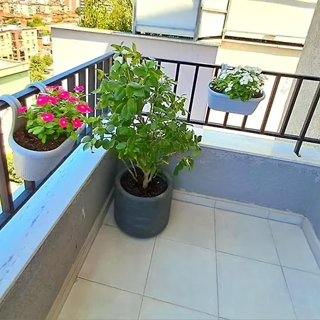 The New Bazaar View Apartment *